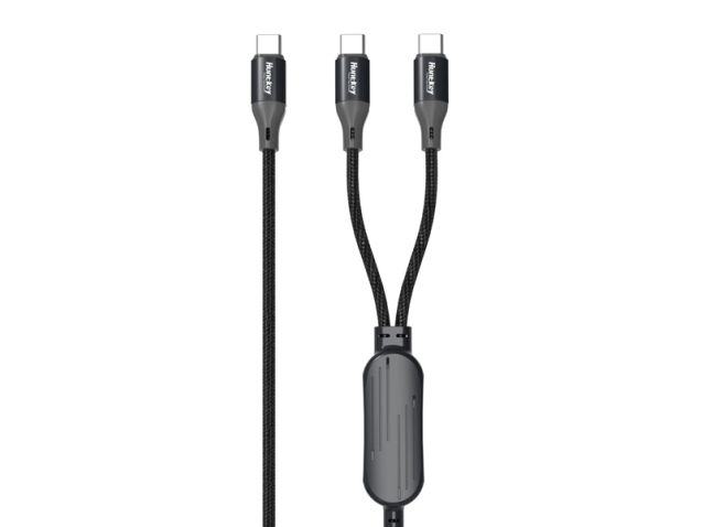 2-in-1-140W-USB-C-to-C-C-Cable-American-Standard